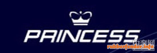 princess游艇logo